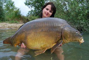 talent si frumusete - 24303129609490545217643517917n.jpg